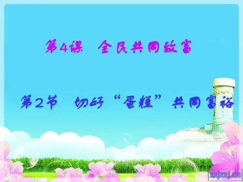 4.2切好蛋糕 共同富裕