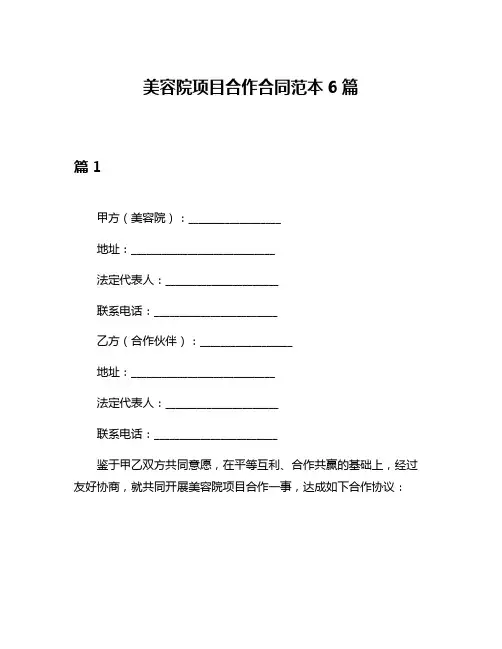 美容院项目合作合同范本6篇