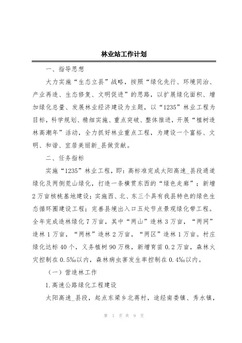 林业站工作计划