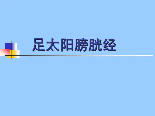 足太阳膀胱经-PPT课件可修改全文