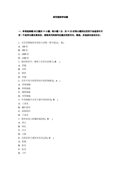 (完整)药用植物学试题及答案,推荐文档