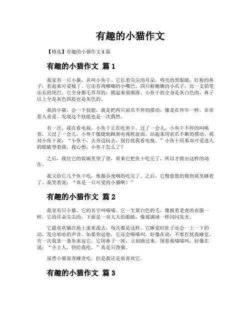 有趣的小猫作文
