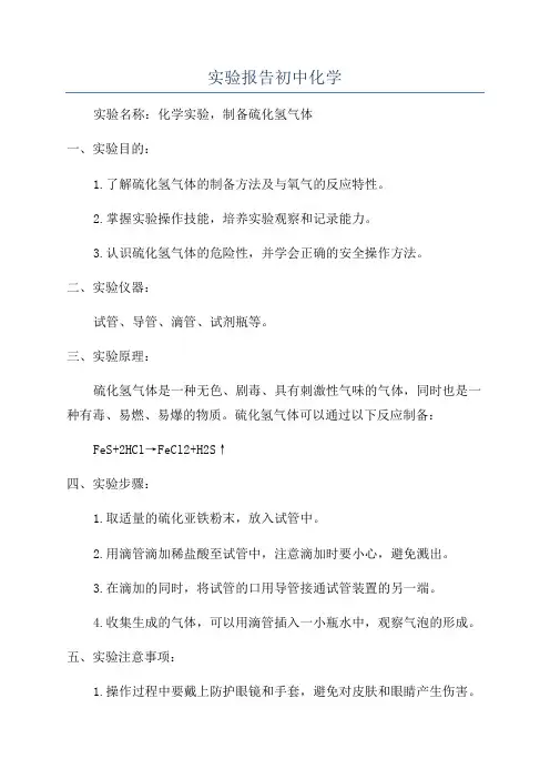 实验报告初中化学