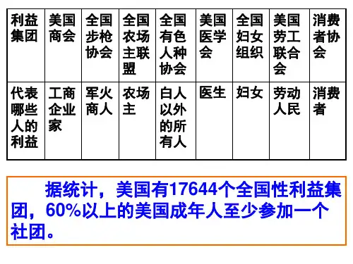 高二政治美国的利益集团(PPT)4-3