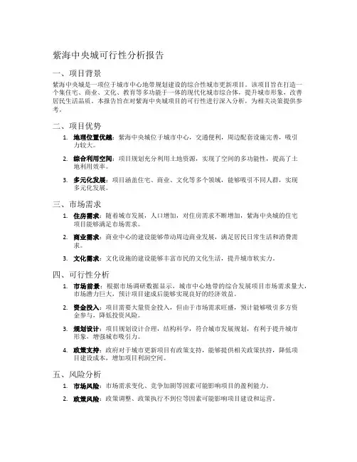 紫海中央城可行性分析报告