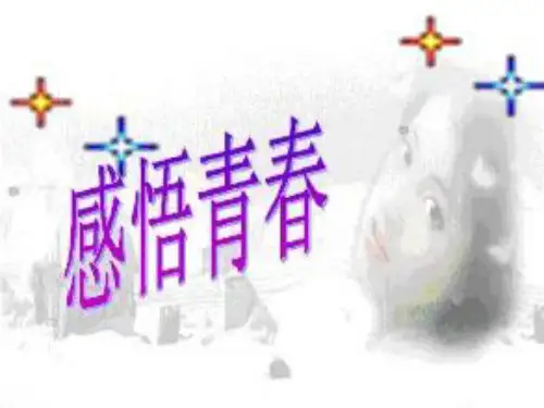 感悟青春ppt优秀课件19 人教版