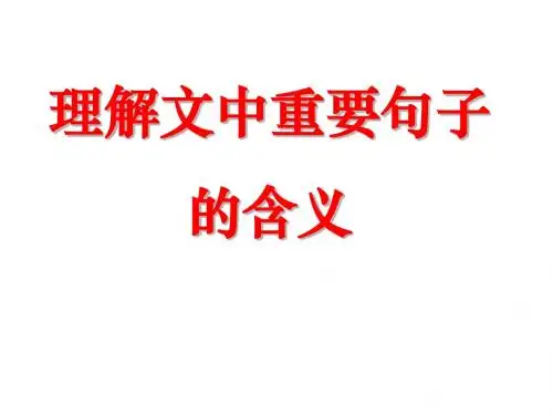 散文  理解重要句子的含义