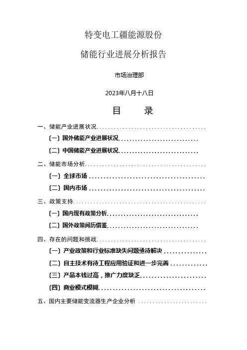 储能行业发展分析报告