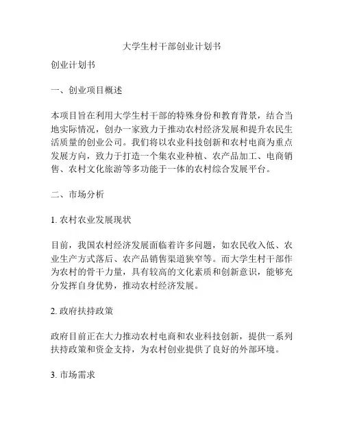大学生村干部创业计划书