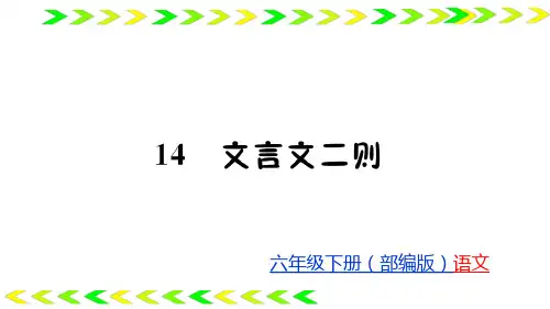 六下语文完美课件第五单元 人教部编版