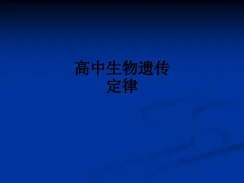 高中生物遗传定律ppt课件