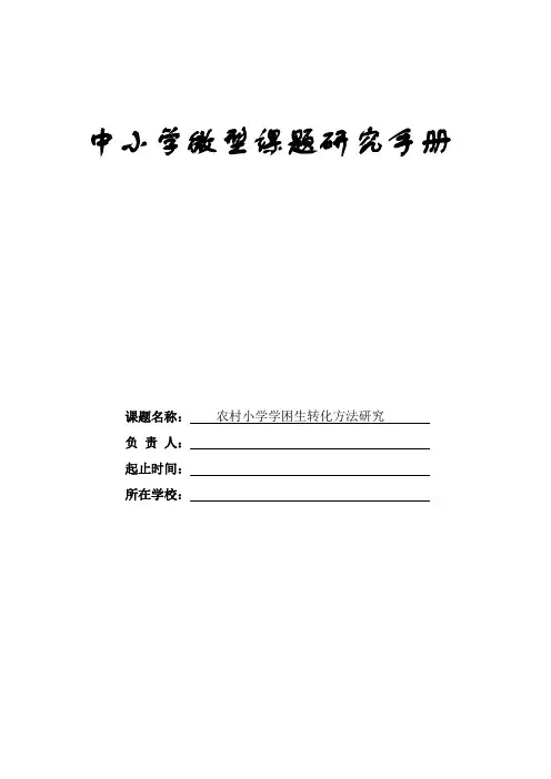 微型课题——农村小学学困生转化方法研究