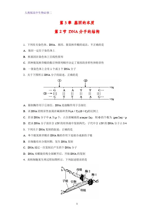 高中生物必修二课时作业11：3.2 DNA分子的结构