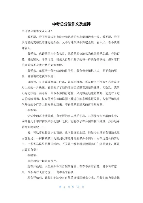 中考满分作文及点评
