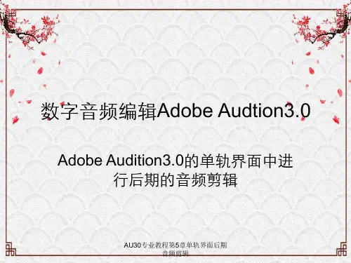 AU30专业教程第5章单轨界面后期音频剪辑