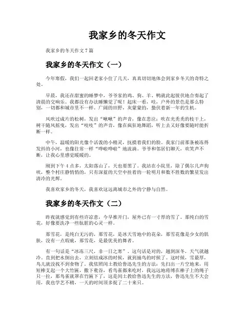 我家乡的冬天作文
