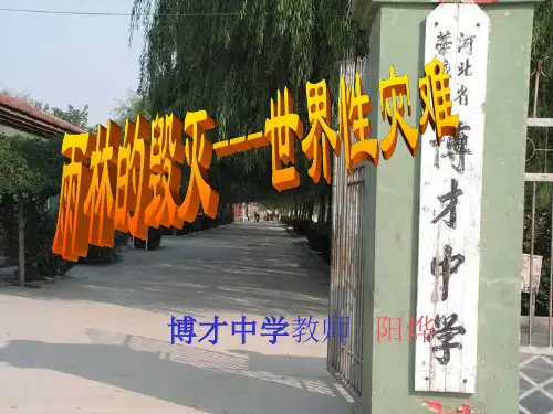 博才中学《雨林的毁灭——世界性灾难》ppt课件
