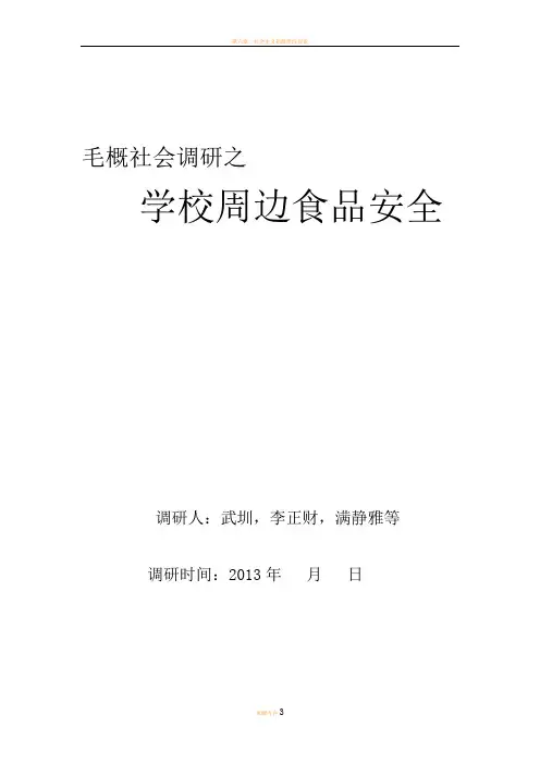 毛概社会调研策划书