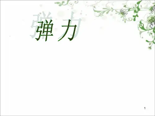 高中物理弹力优秀ppt课件