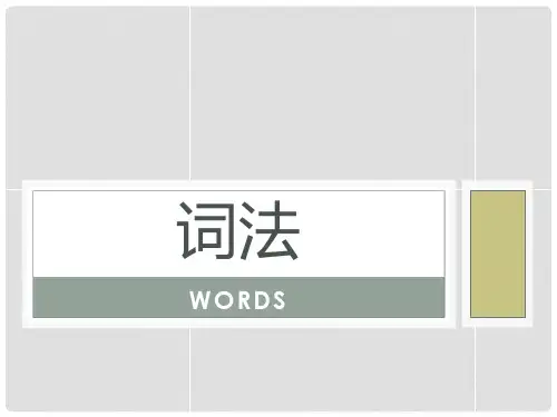 英语中所有词的分类词法