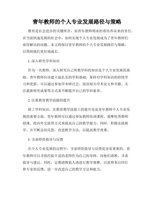 青年教师的个人专业发展路径与策略