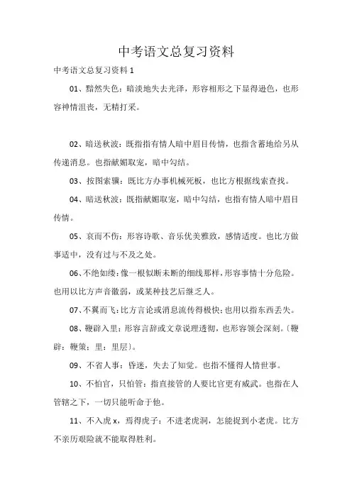 中考语文总复习资料