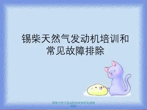 锡柴天然气发动机培训及常见故障排除