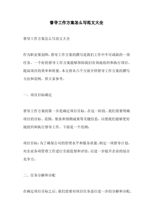 督导工作方案怎么写范文大全