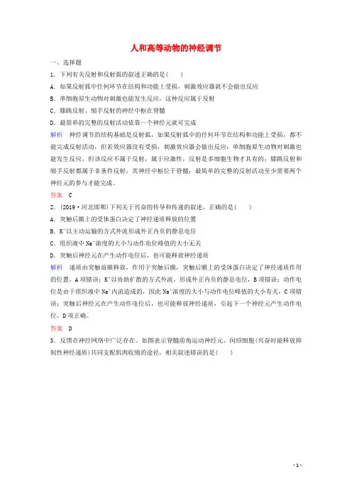 2020年高考生物总复习第八单元生命活动的调节第2讲人和高等动物的神经调节练习含解析新人教版