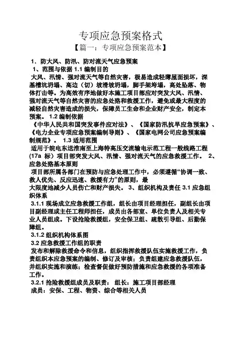 专项应急预案格式