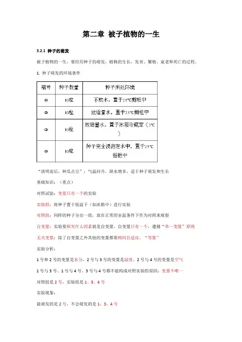 第三单元第二章 被子植物的一生知识点复习 人教版生物七年级上册