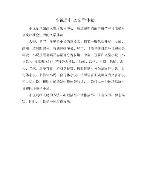 小说是什么文学体裁