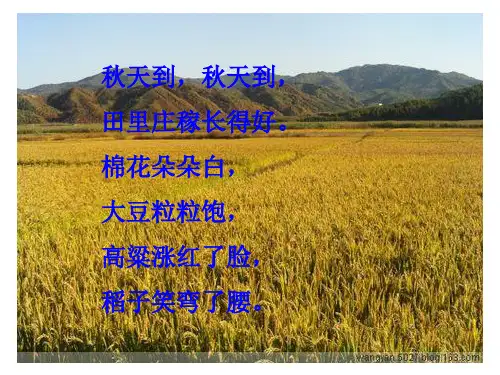 小学语文二上《 秋天的图画》PPT课件
