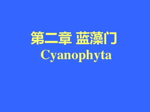 水生生物学水生植物2蓝藻门