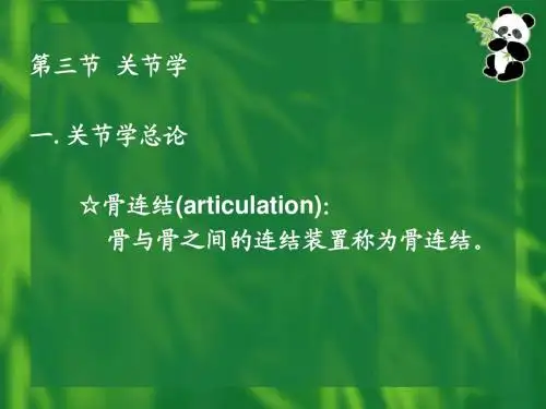 关节学