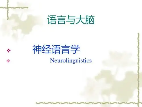 神经语言学-PPT精选文档