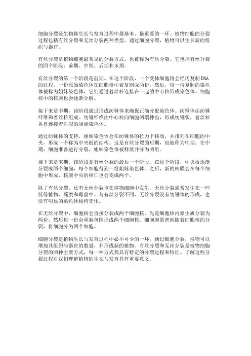 植物的细胞分裂过程