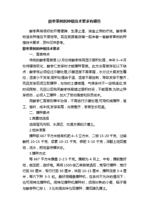 酸枣果树的种植技术要求有哪些