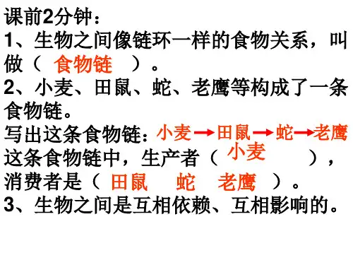 做一个生态瓶 ppt