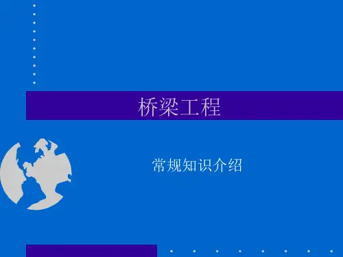 桥梁工程培训资料精品PPT课件
