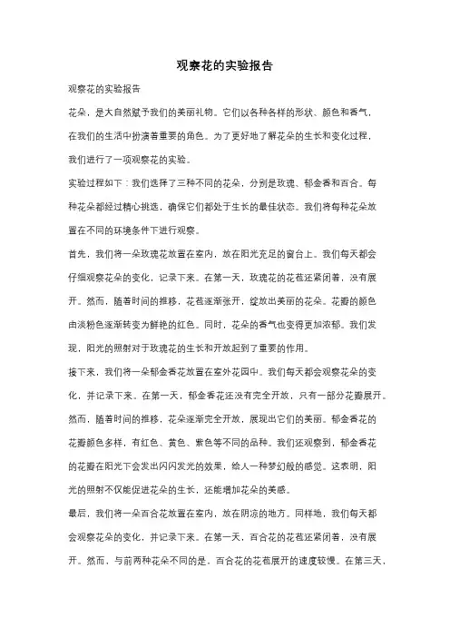 观察花的实验报告