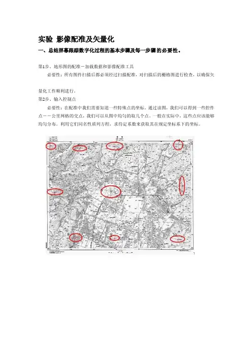 试验影像配准及矢量化[指南]