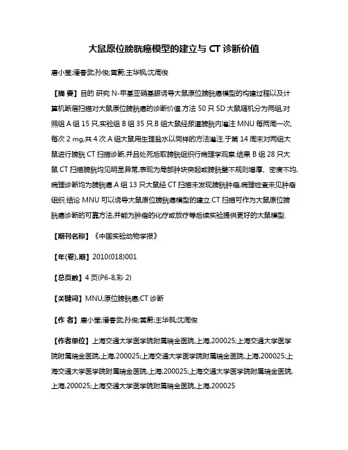 大鼠原位膀胱癌模型的建立与CT诊断价值