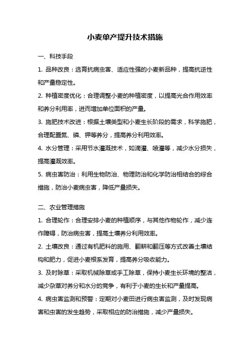 小麦单产提升技术措施