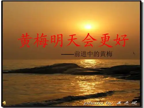 旅游地理黄梅篇11