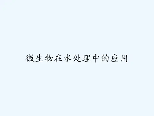 微生物在水处理中的应用