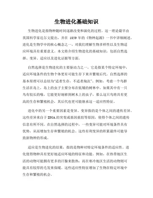 生物进化基础知识