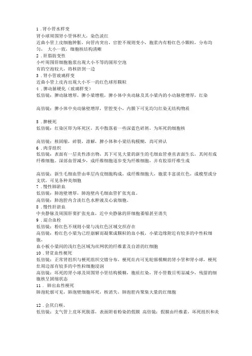 病理试验各种切片介绍