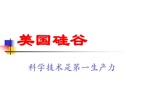 硅谷