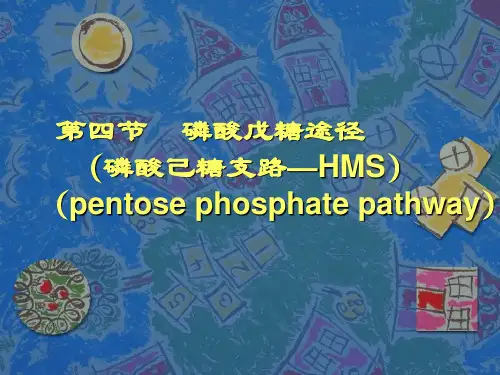磷酸戊糖途径